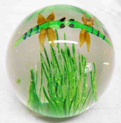 dragonfly-paperweight